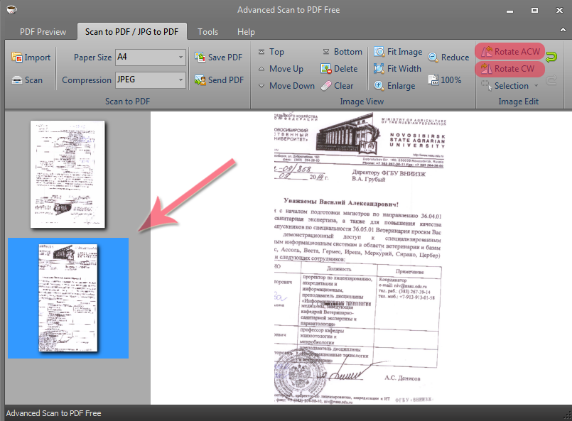 Pdf файл образец